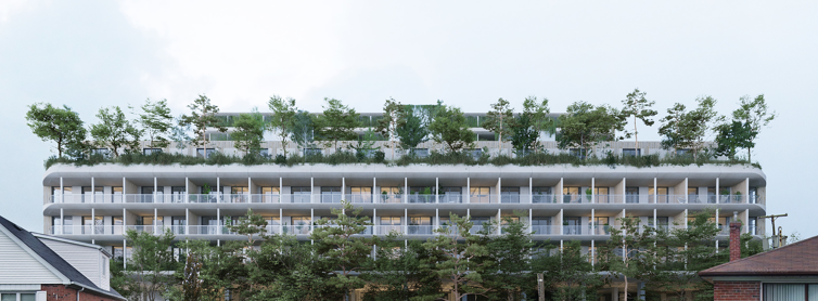 Cree Inesteriel Sesotec Factory 2 – CREE Buildings
